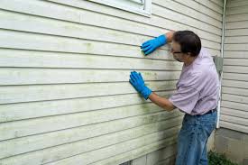 Best Siding for Commercial Buildings  in Boiling Springs, NC